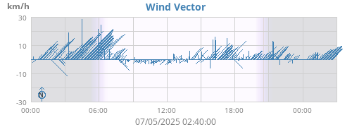 Wind Vector