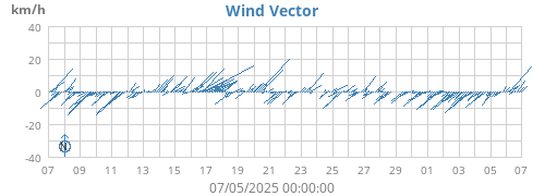 Wind Vector