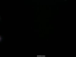 Thumbnail: 2025-05-06_02-30.jpg