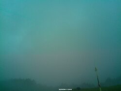 Thumbnail: 2025-05-08_11-30.jpg