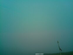 Thumbnail: 2025-05-10_12-29.jpg