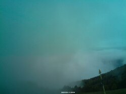 Thumbnail: 2025-10-31_11-31.jpg