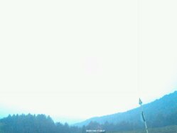 Thumbnail: 2025-11-08_17-30.jpg