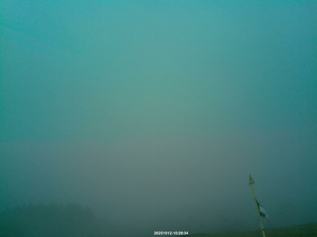 Image: 2025-10-12_10-31.jpg