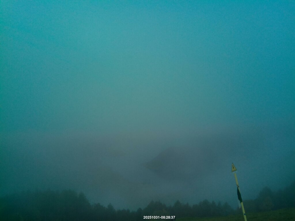 Image: 2025-10-31_08-29.jpg