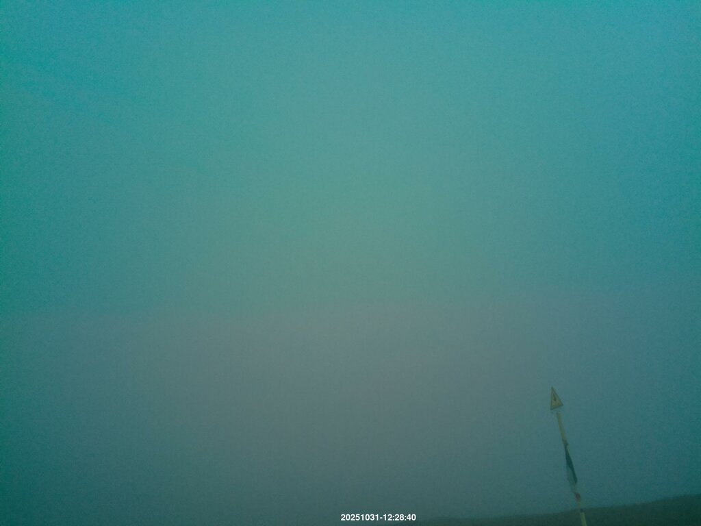 Image: 2025-10-31_12-29.jpg