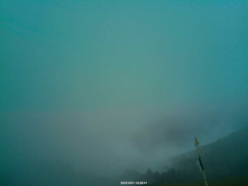 Image: 2025-10-31_14-30.jpg