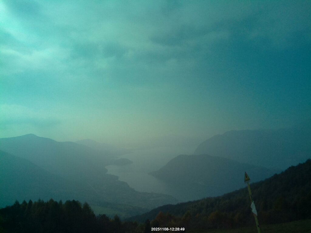 Image: 2025-11-08_12-30.jpg