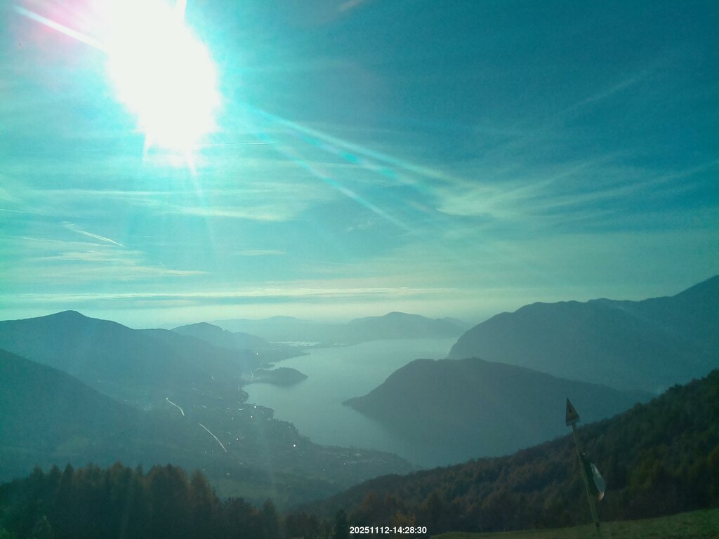 Image: 2025-11-12_14-29.jpg