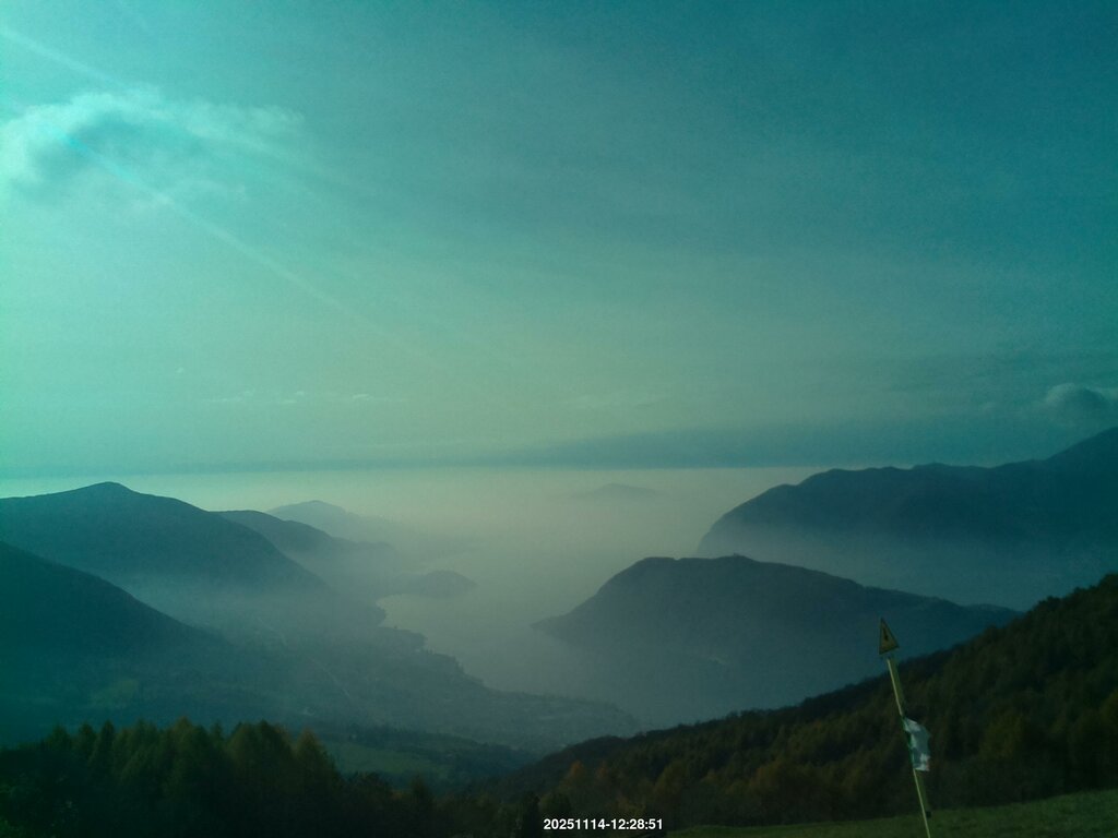 Image: 2025-11-14_12-29.jpg