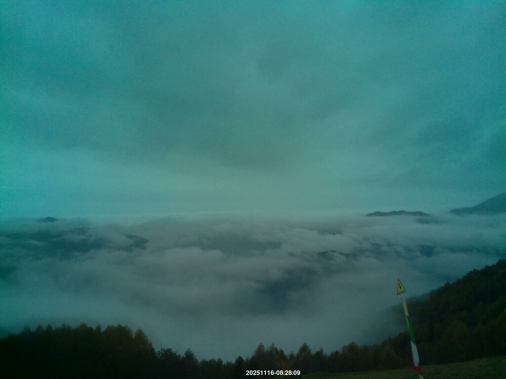 Image: 2025-11-16_08-29.jpg