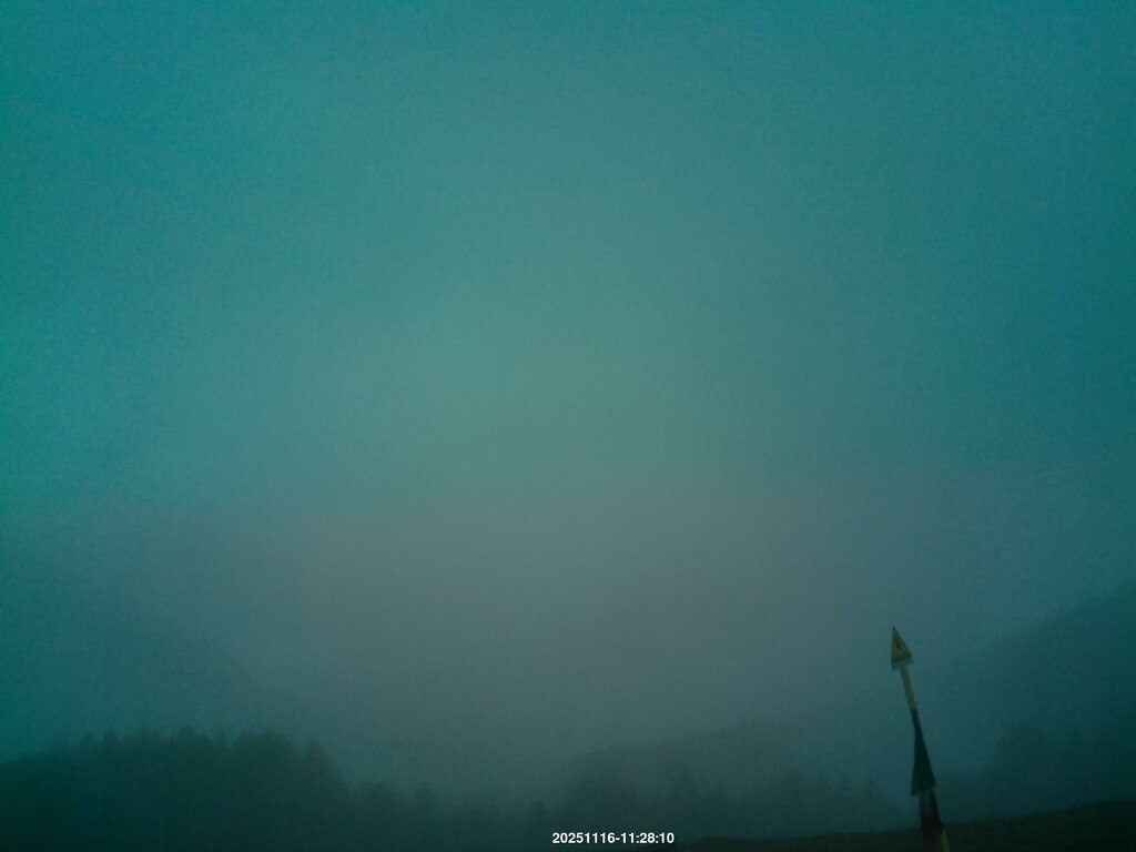 Image: 2025-11-16_11-29.jpg