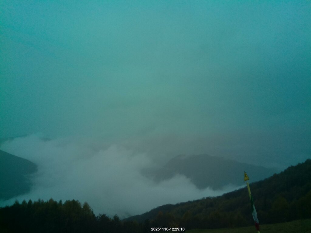 Image: 2025-11-16_12-31.jpg