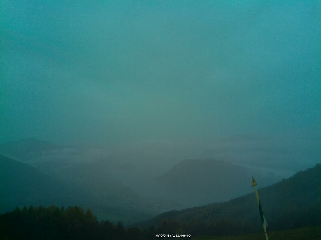 Image: 2025-11-16_14-29.jpg