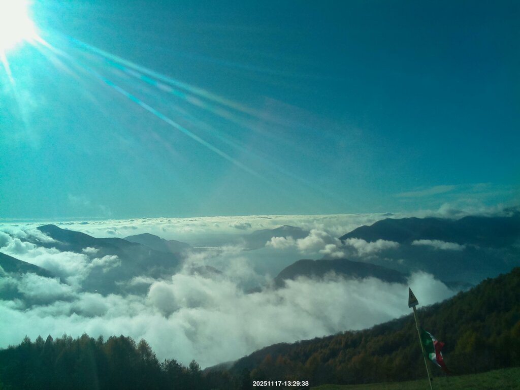 Image: 2025-11-17_13-31.jpg