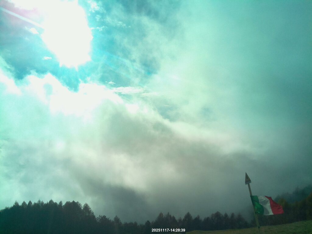 Image: 2025-11-17_14-29.jpg