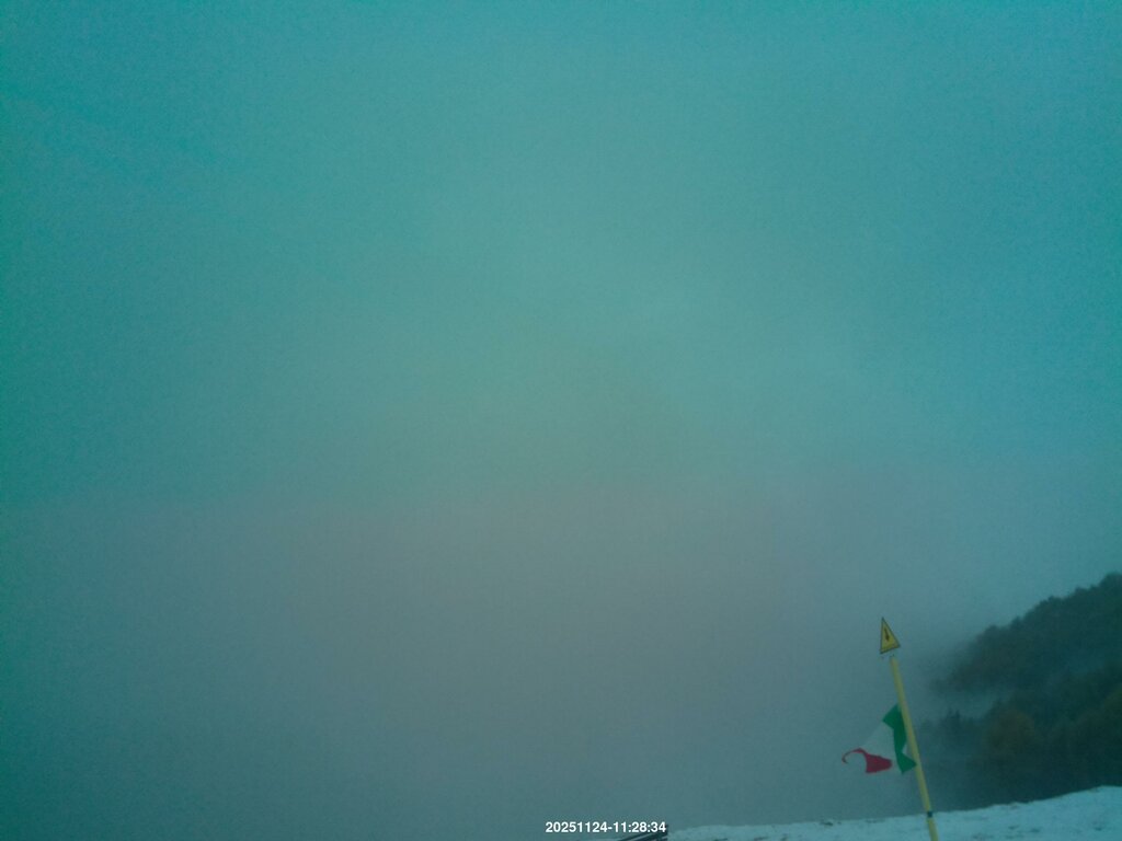 Image: 2025-11-24_11-30.jpg