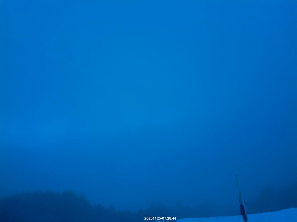 Image: 2025-11-25_07-30.jpg