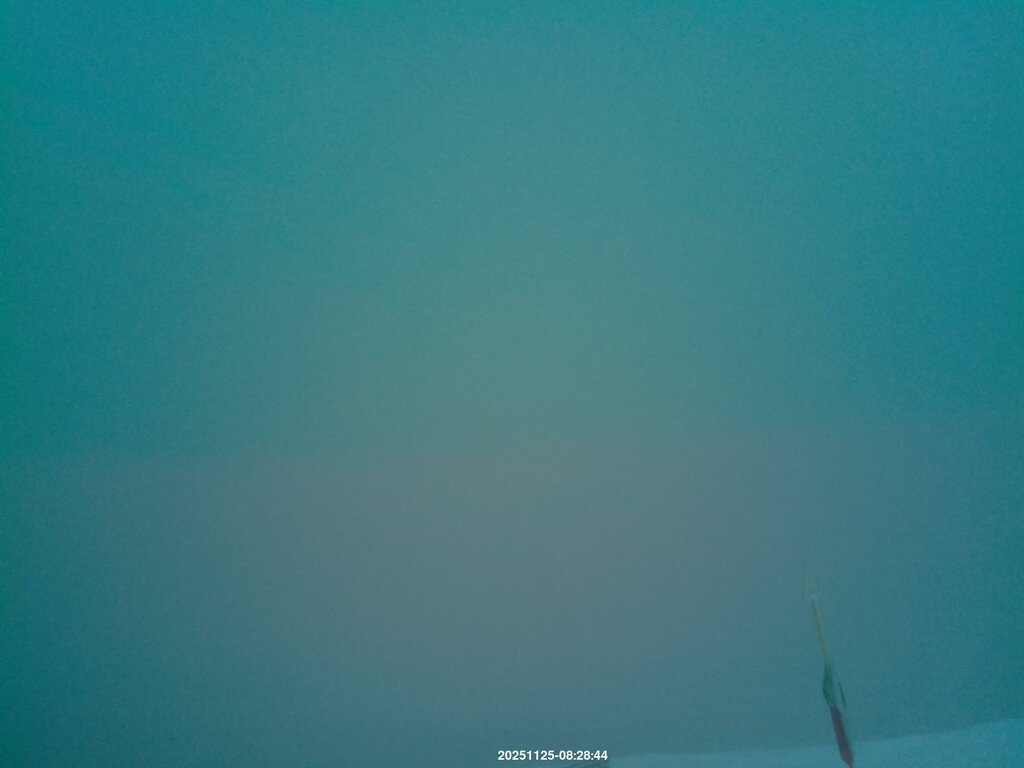 Image: 2025-11-25_08-29.jpg