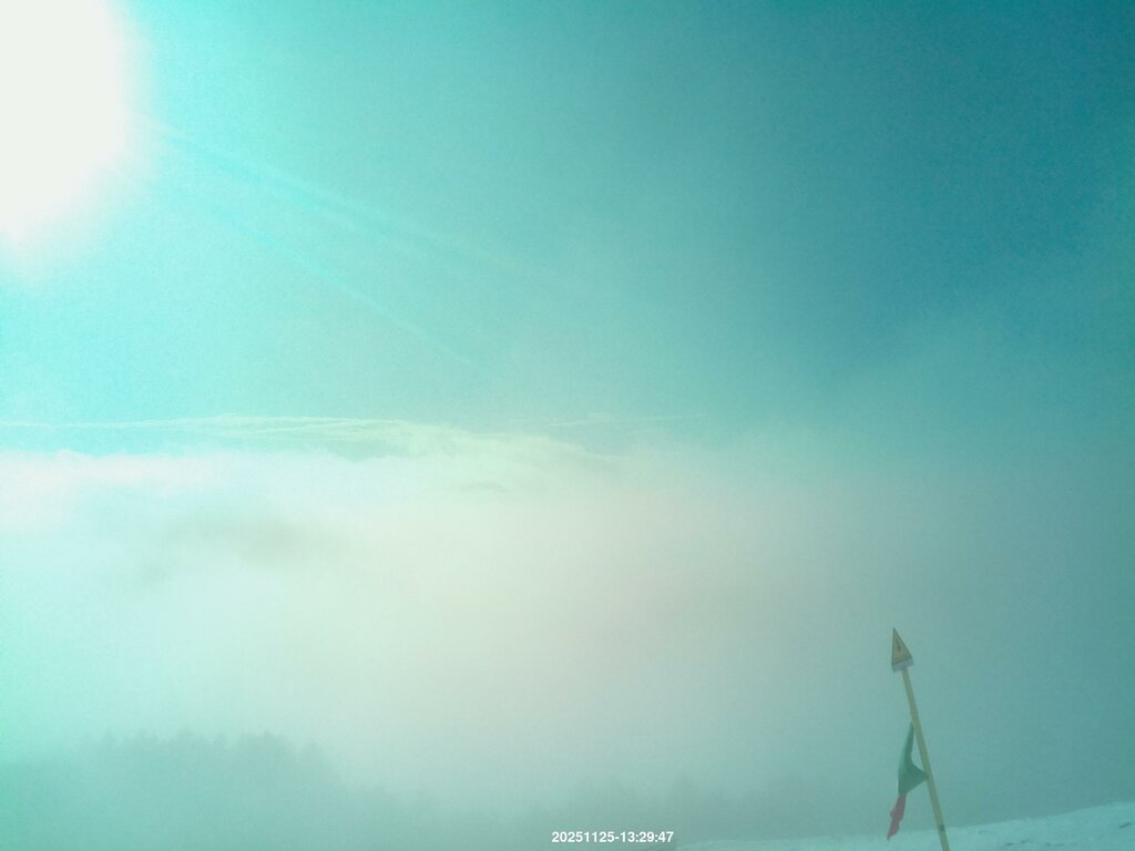 Image: 2025-11-25_13-31.jpg