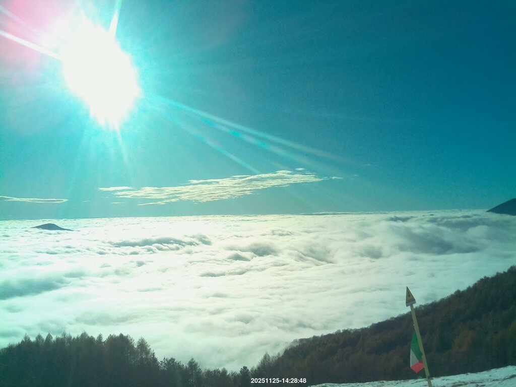 Image: 2025-11-25_14-29.jpg