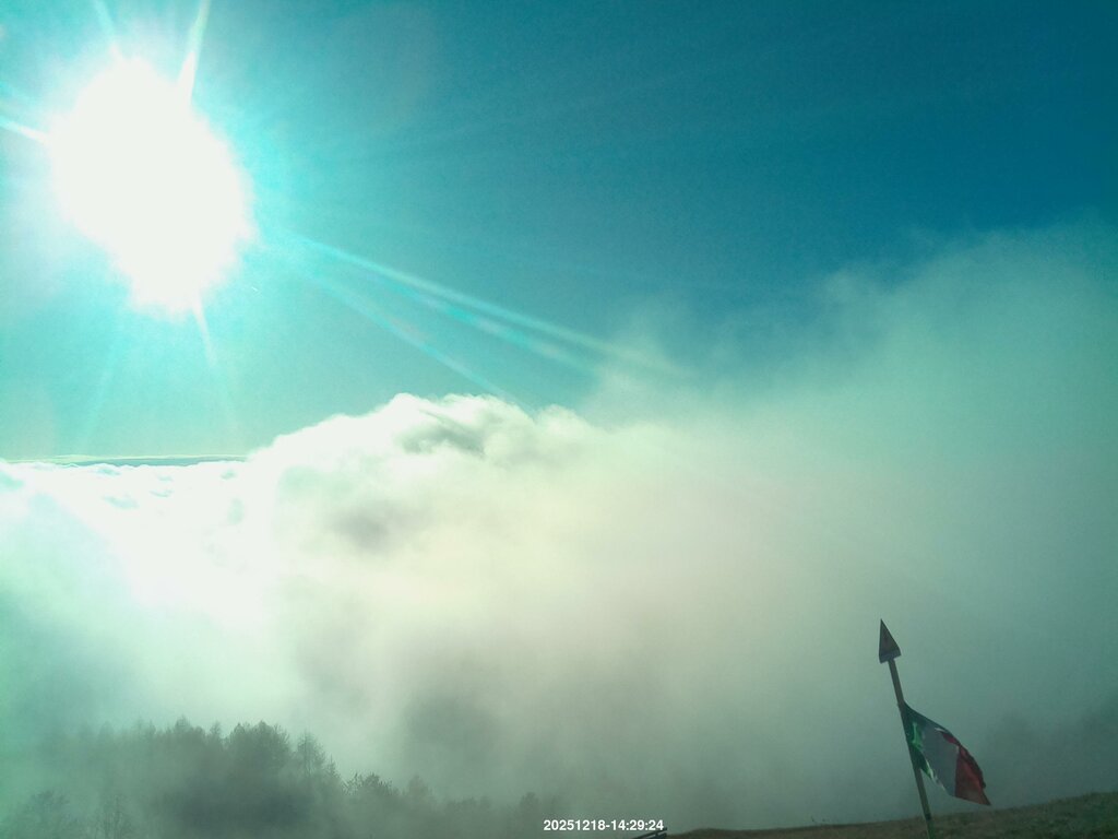 Image: 2025-12-18_14-31.jpg