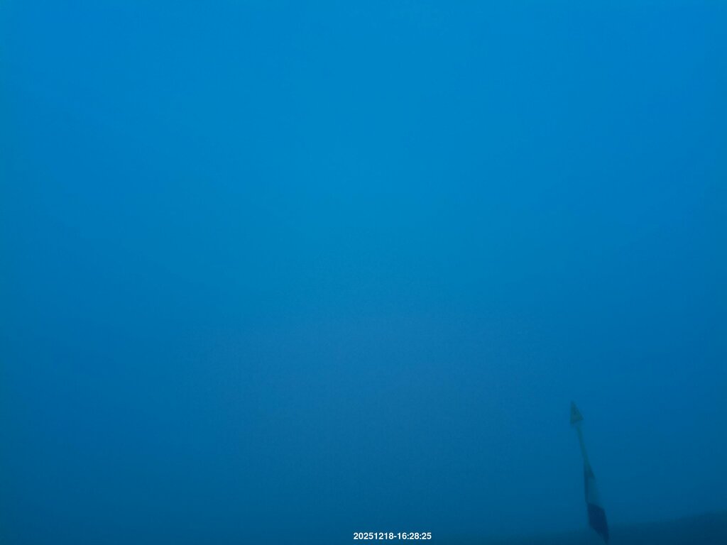 Image: 2025-12-18_16-29.jpg