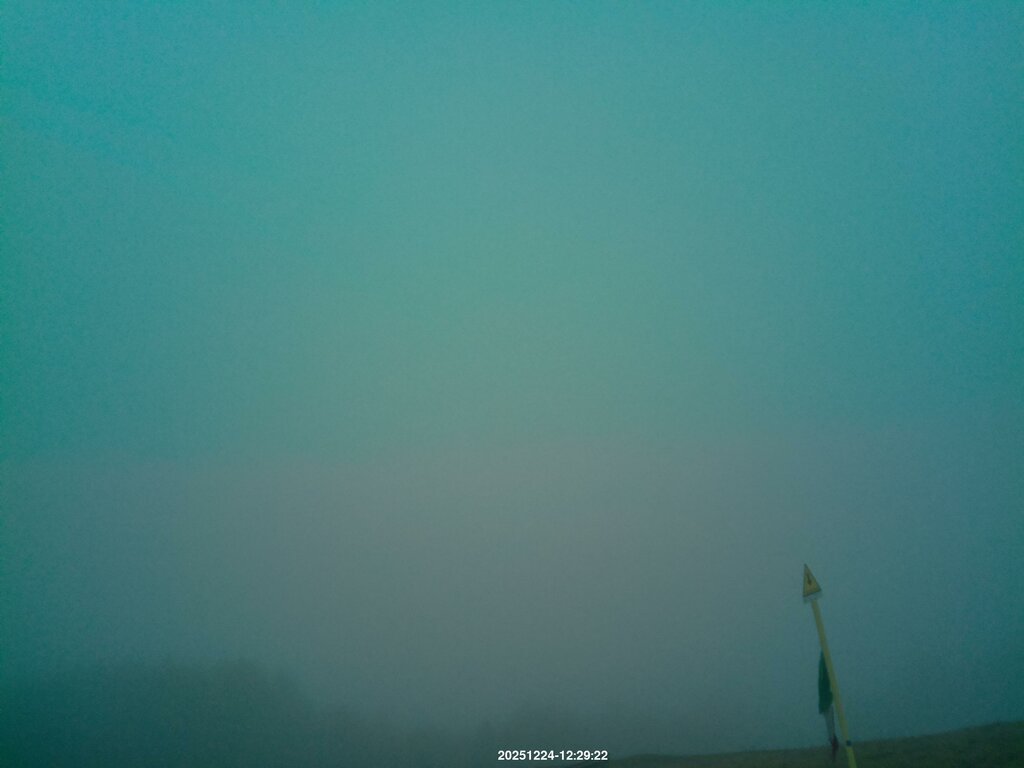 Image: 2025-12-24_12-31.jpg