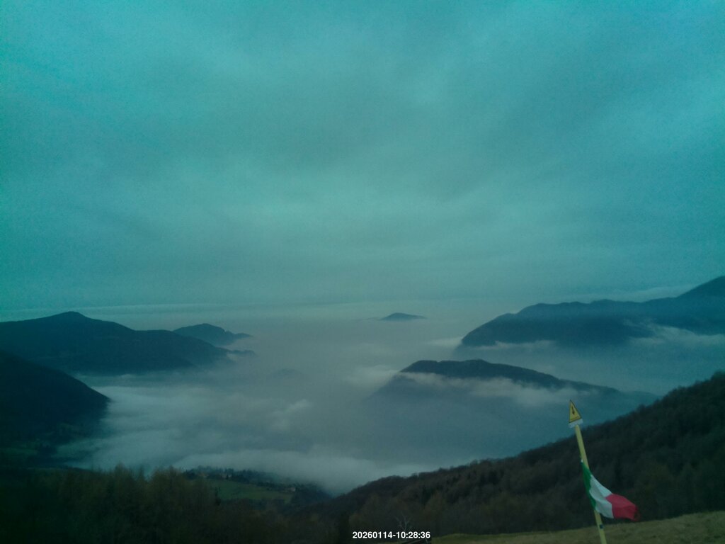 Image: 2026-01-14_10-29.jpg