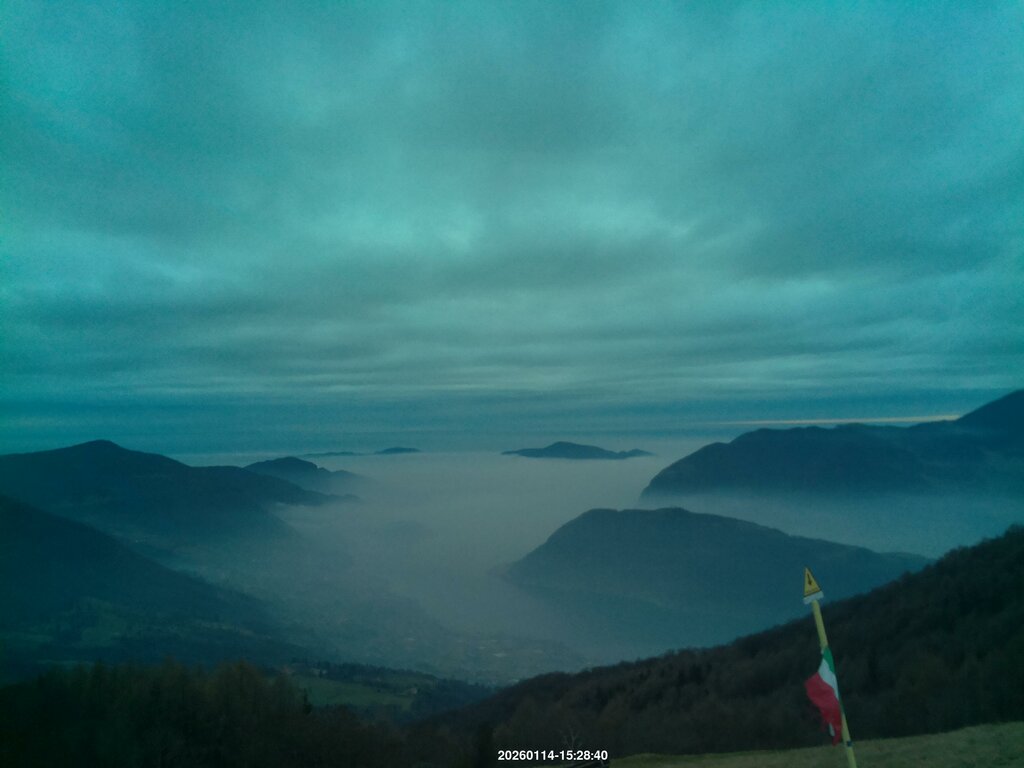 Image: 2026-01-14_15-29.jpg