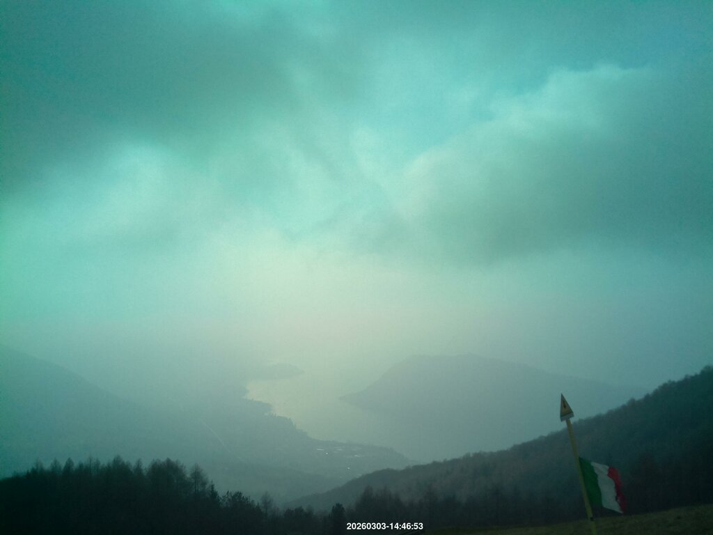 Image: 2026-03-03_14-47.jpg