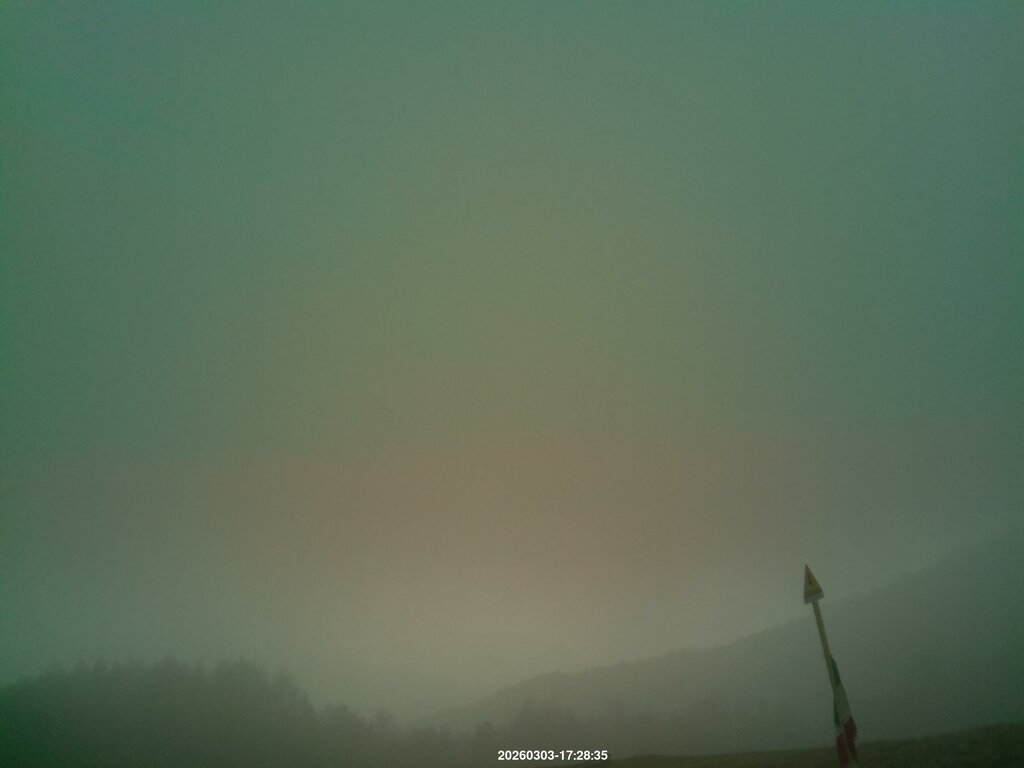 Image: 2026-03-03_17-29.jpg