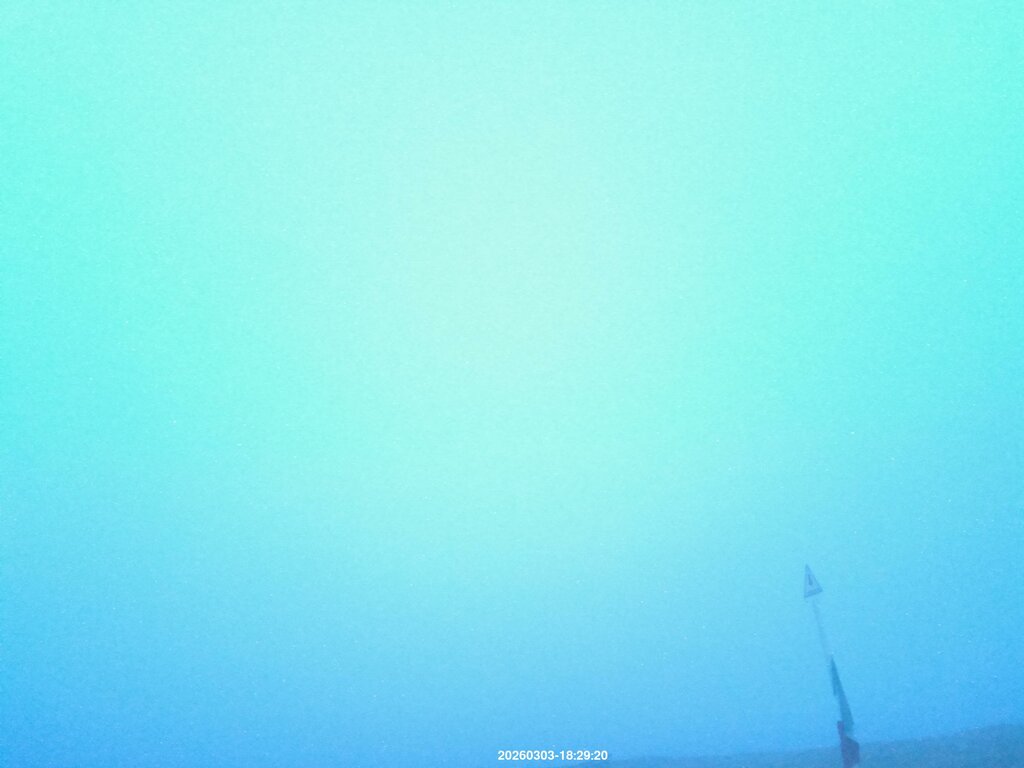 Image: 2026-03-03_18-30.jpg