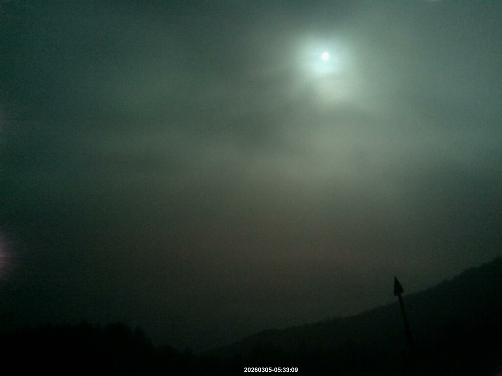 Image: 2026-03-05_05-34.jpg