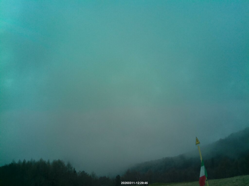 Image: 2026-03-11_12-31.jpg