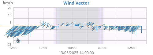 Wind Vector