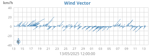 Wind Vector